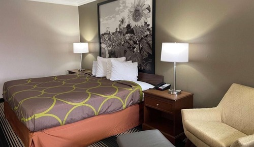 Room, 1 King Bed