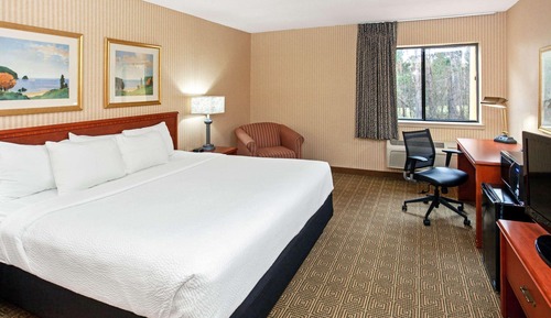 Room, 1 King Bed, Non Smoking