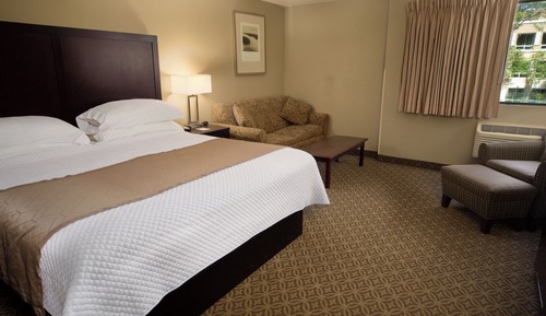 Business Room, 1 King Bed