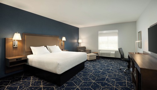 Room, 1 King Bed, Roll-in Shower
