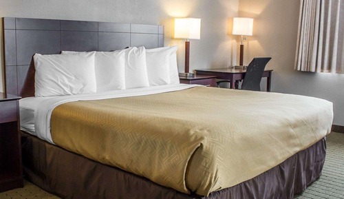 Room, 1 King Bed with Sofa bed, Non Smoking