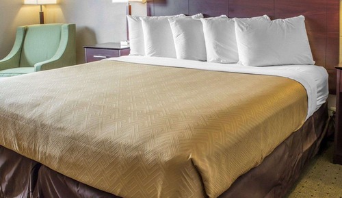 Room, 1 King Bed, Non Smoking