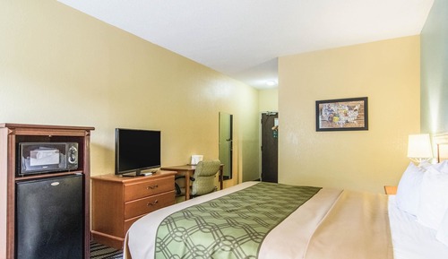 Room, 1 King Bed, Accessible, Non Smoking