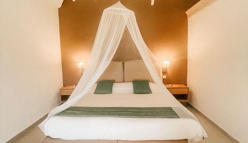 Junior Suite Garden View