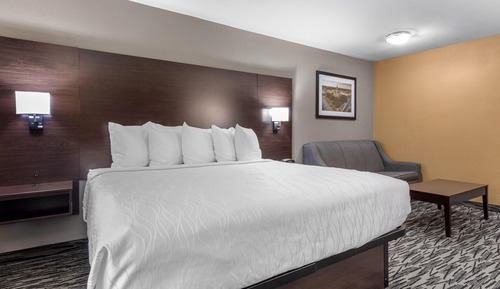Standard Room, 1 King Bed, Non Smoking, Refrigerator & Microwave (with Single Sofabed)