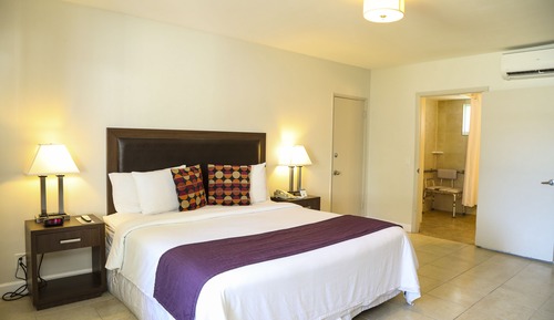 Standard Room, 1 King Bed, Accessible