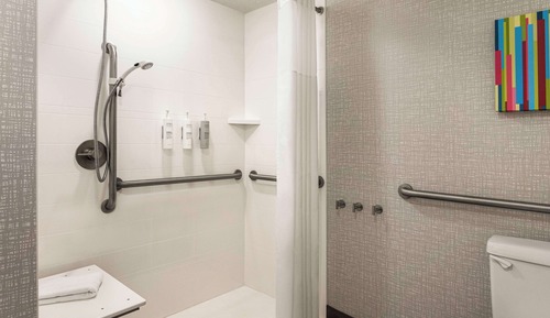Suite, 1 King Bed, Accessible (Roll-In Shower)