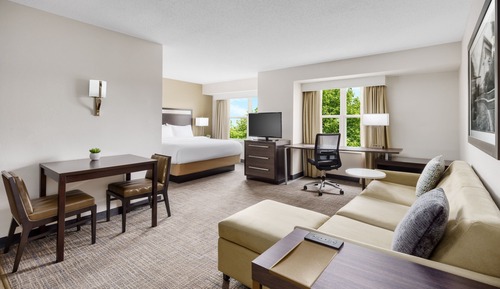 Studio, 1 King Bed with Sofa bed (Mobility/Hearing Accessible, Tub)