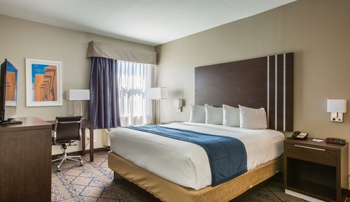 Room, 1 King Bed, Non Smoking