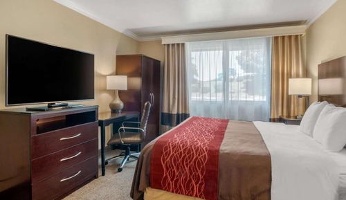 Standard Room, 1 King Bed, Non Smoking