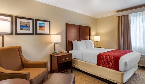 Standard Room, 1 Queen Bed, Non Smoking