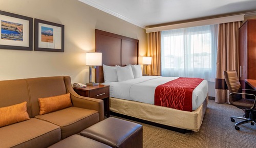 Suite, 1 King Bed with Sofa bed, Non Smoking