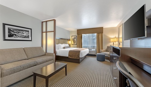Executive Room, 1 King Bed with Sofa bed, Non Smoking, Refrigerator & Microwave (with Sofabed)