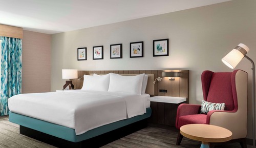 Room, 1 King Bed with Sofa bed