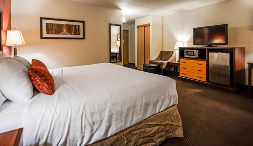 Standard Room, 1 King Bed, Accessible, Refrigerator & Microwave
