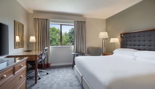 Deluxe Room, 1 King Bed