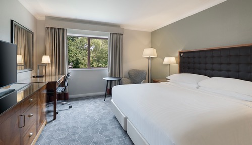 Superior Room, 1 King Bed