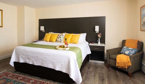 Standard Room, 1 King Bed, Non Smoking