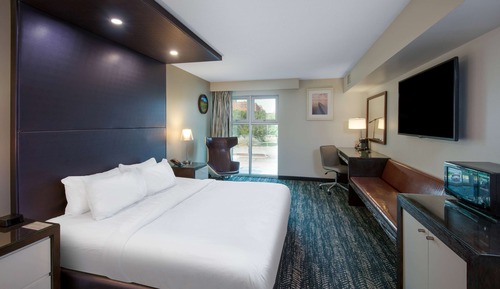 Room, 1 King Bed, Non Smoking (City Side View)