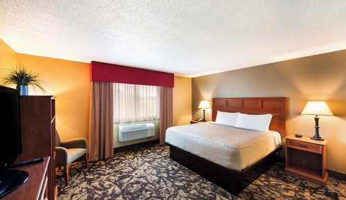 Suite, 1 King Bed, Non Smoking, Refrigerator & Microwave (with Sofabed)