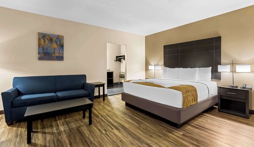 Standard Room, 1 King Bed with Sofa bed, Non Smoking, Fireplace (with Sofabed)