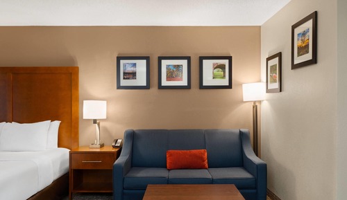 Deluxe Studio Suite, 1 King Bed, Non Smoking