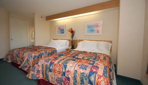 Standard Double Room, 2 Double Beds, Non Smoking