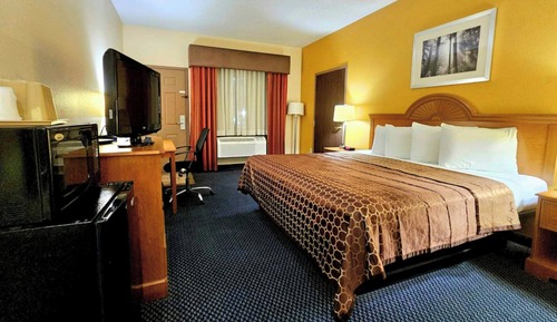 Room, 1 King Bed, Smoking, Refrigerator & Microwave