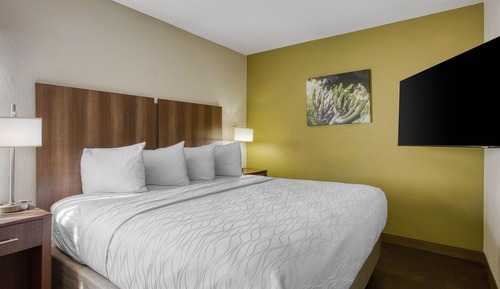 Standard Room, 1 King Bed, Accessible, Non Smoking
