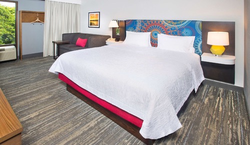 Studio, 1 King Bed with Sofa bed