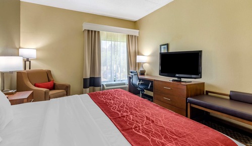 Room, 1 King Bed, Accessible, Non Smoking