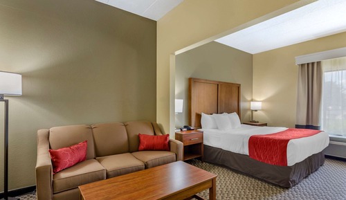 Standard Room, 1 King Bed, Non Smoking