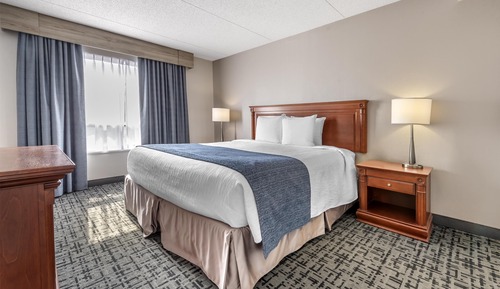 Suite, 1 King Bed, Accessible, Non Smoking (with Sofabed)