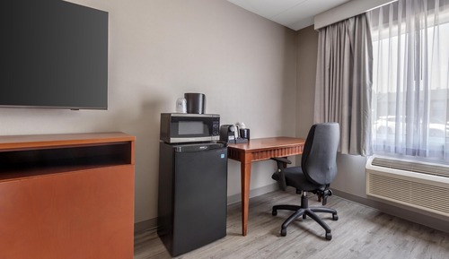 Standard Room, 1 King Bed, Non Smoking, Refrigerator & Microwave (Shower Only;with Sofabed)