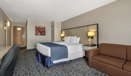 Standard Room, 1 King Bed, Non Smoking, Refrigerator & Microwave (with Sofabed)