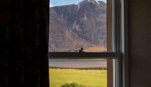 Superior Room (Loch View)