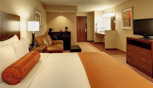 1 King Bed (Dog Friendly)