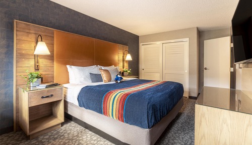 Suite, 1 Bedroom (with Sofa Bed)