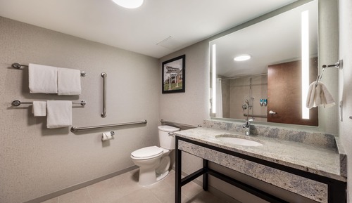 Room, 1 King Bed, Accessible (Roll in Shower)