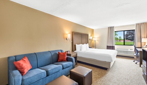 Standard Room, 1 King Bed, Non Smoking
