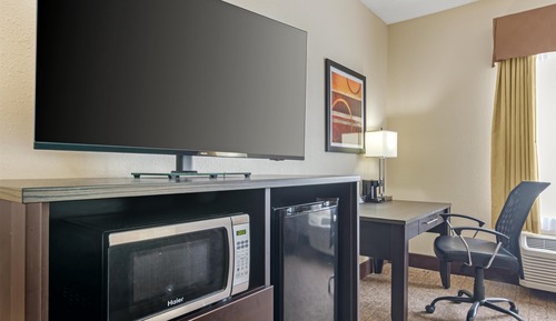 Suite, 1 King Bed, Non Smoking, Refrigerator & Microwave (with Single Sofabed)