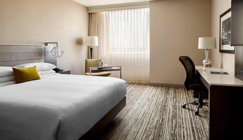 Room, 1 King Bed