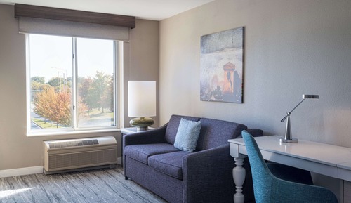 Room, 1 King Bed with Sofa bed