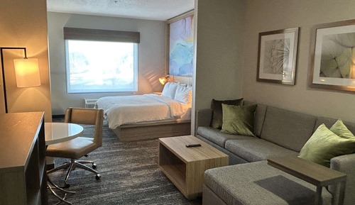 Suite, 1 King Bed, Non Smoking, Kitchenette (with Single Sofabed)