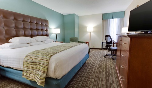Room, 1 King Bed