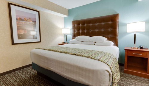 Suite, 1 King Bed with Sofa bed (Sofa Sleeper, 2 Rooms)