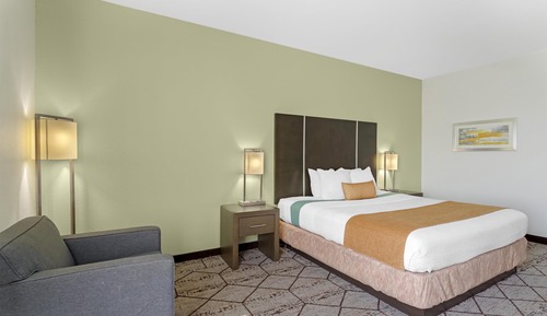 Standard Room, 1 King Bed, Non Smoking, Refrigerator & Microwave