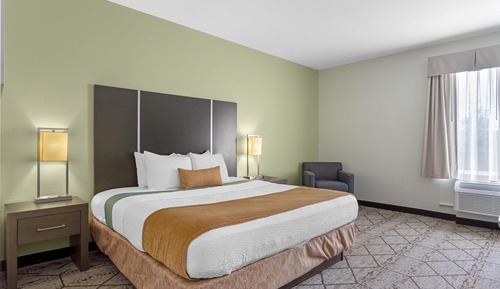 Standard Room, 1 King Bed, Accessible, Non Smoking (with Sofabed)