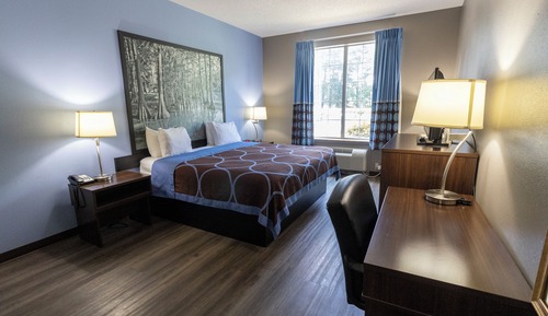 Room, 1 King Bed, Accessible, Non Smoking