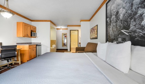 Efficiency, Room, 1 King Bed, Non Smoking
